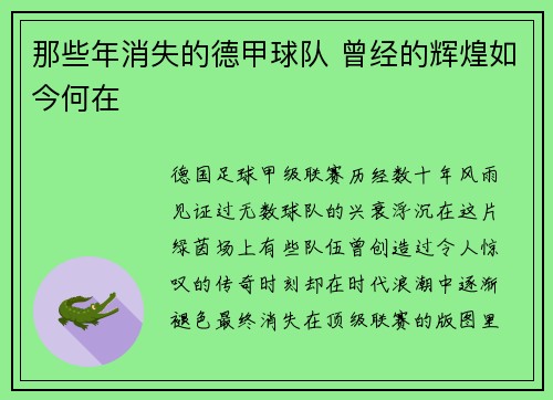 那些年消失的德甲球队 曾经的辉煌如今何在